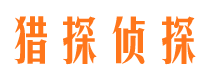 城子河侦探